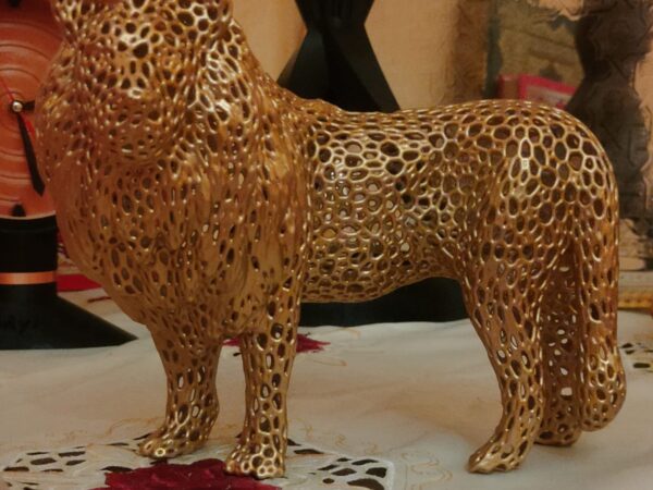 lion atlas vorone
